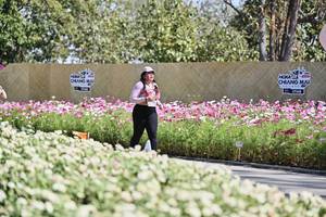 BIB: 
                            <button type="button" onclick="openModal(27803099)" class="btn btn-primary btn-sm float-right btn-popup" data-toggle="modal" data-target=".modal-high-quality">
                        <i class="fas fa-shopping-cart"></i> Add to Cart
                    </button>
                                            <button type="button" onclick="isThisMe(27803099, true)" class="btn btn-success btn-sm float-right btn-popup btn-isme hidden" data-toggle="tooltip" data-placement="bottom" title="นี่คือรูปของคุณใช่ไหม คลิกที่นี่เพื่อเอาเข้าอัลบั้ม">
                        <i class="fas fa-plus"></i> Add to album
                    </button>
                    <button type="button" onclick="isThisMe(27803099, false)" class="btn btn-warning btn-sm float-right btn-popup btn-isnotme hidden">
                        <i class="fas fa-ban"></i> Remove from album
                    </button>